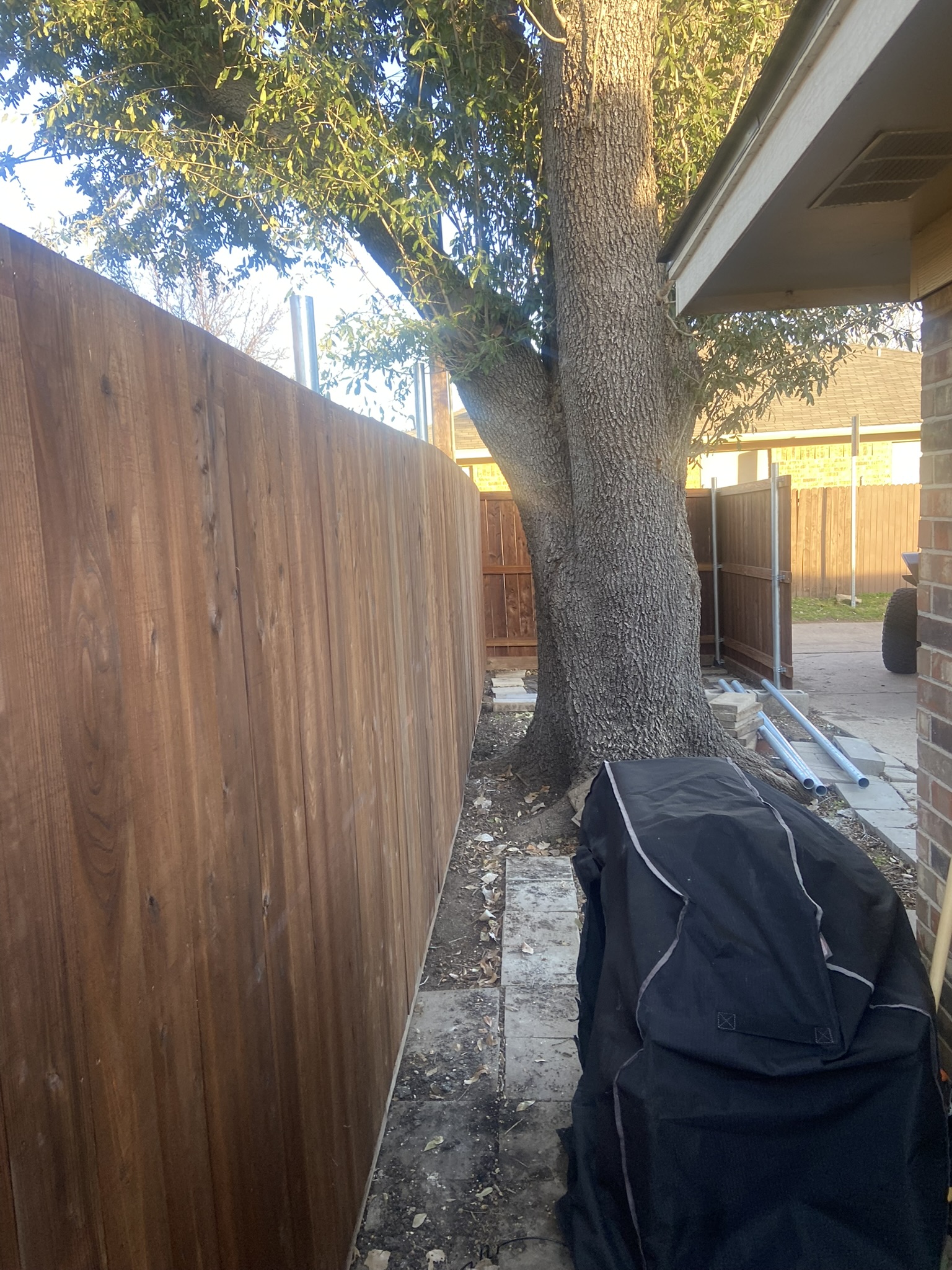 Stained cedar privacy fence next to a large tree trunk in a side yard
