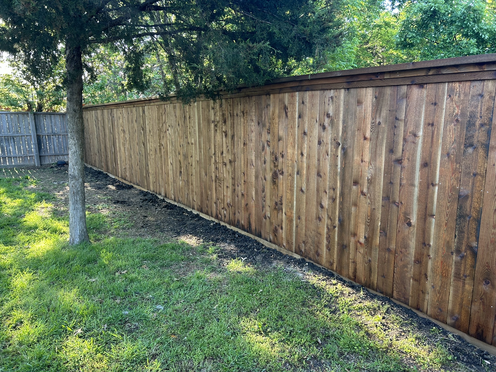 Long stained cedar board-on-board privacy fence with cap rail in a backyard with trees