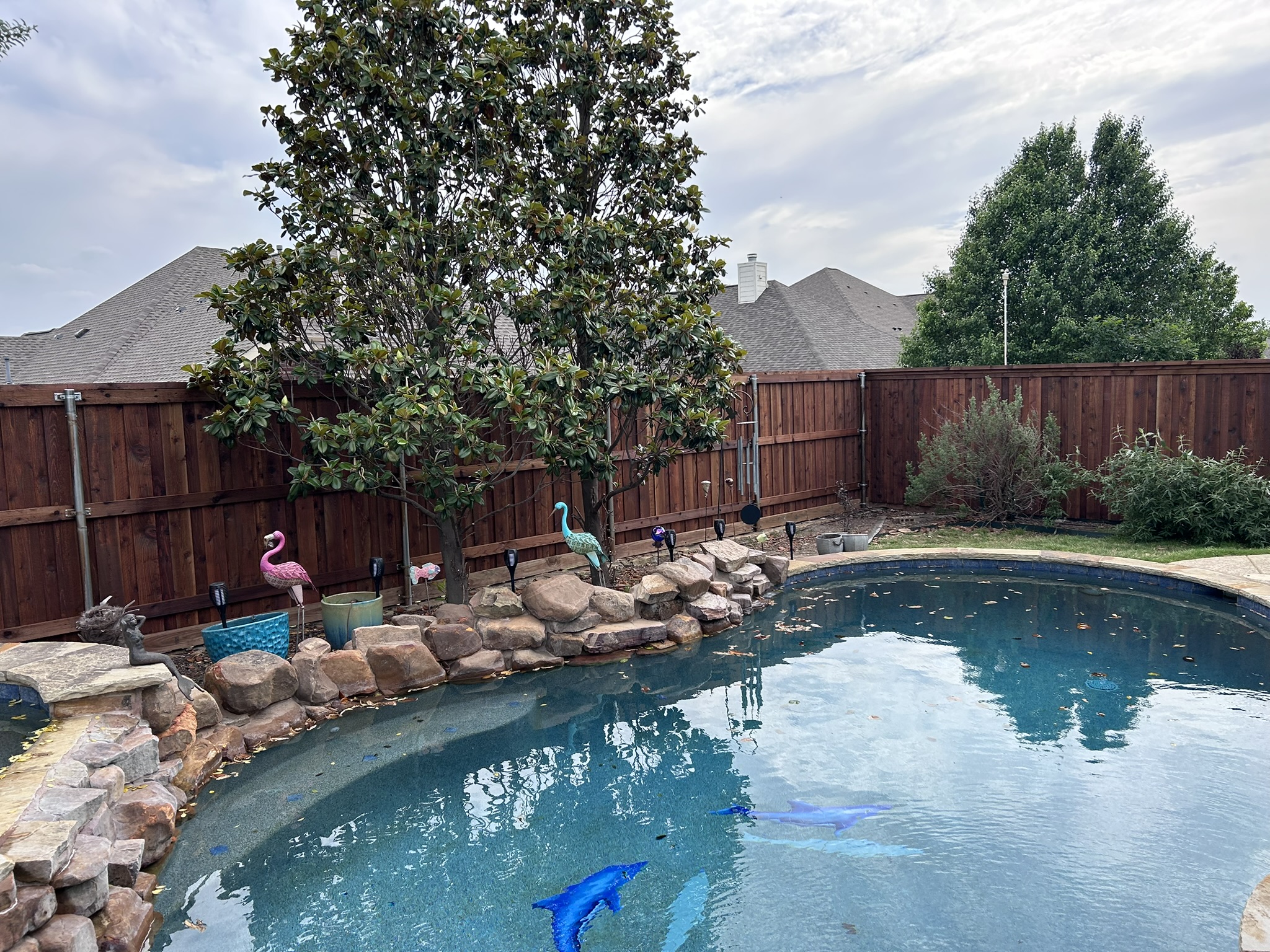 Stained cedar privacy fence surrounding a backyard pool with rock landscaping