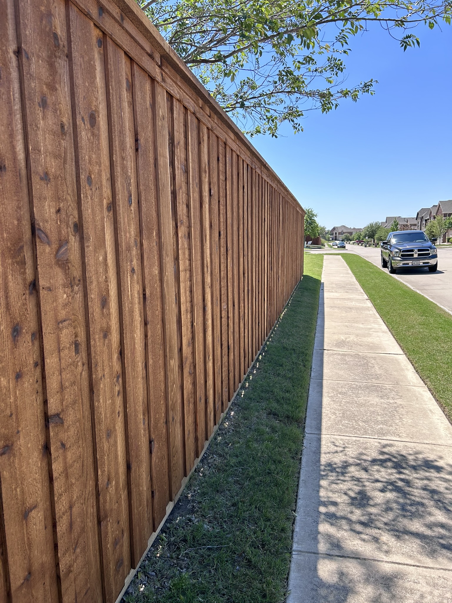 Stained cedar board-on-board privacy fence along a sidewalk in a residential neighborhood
