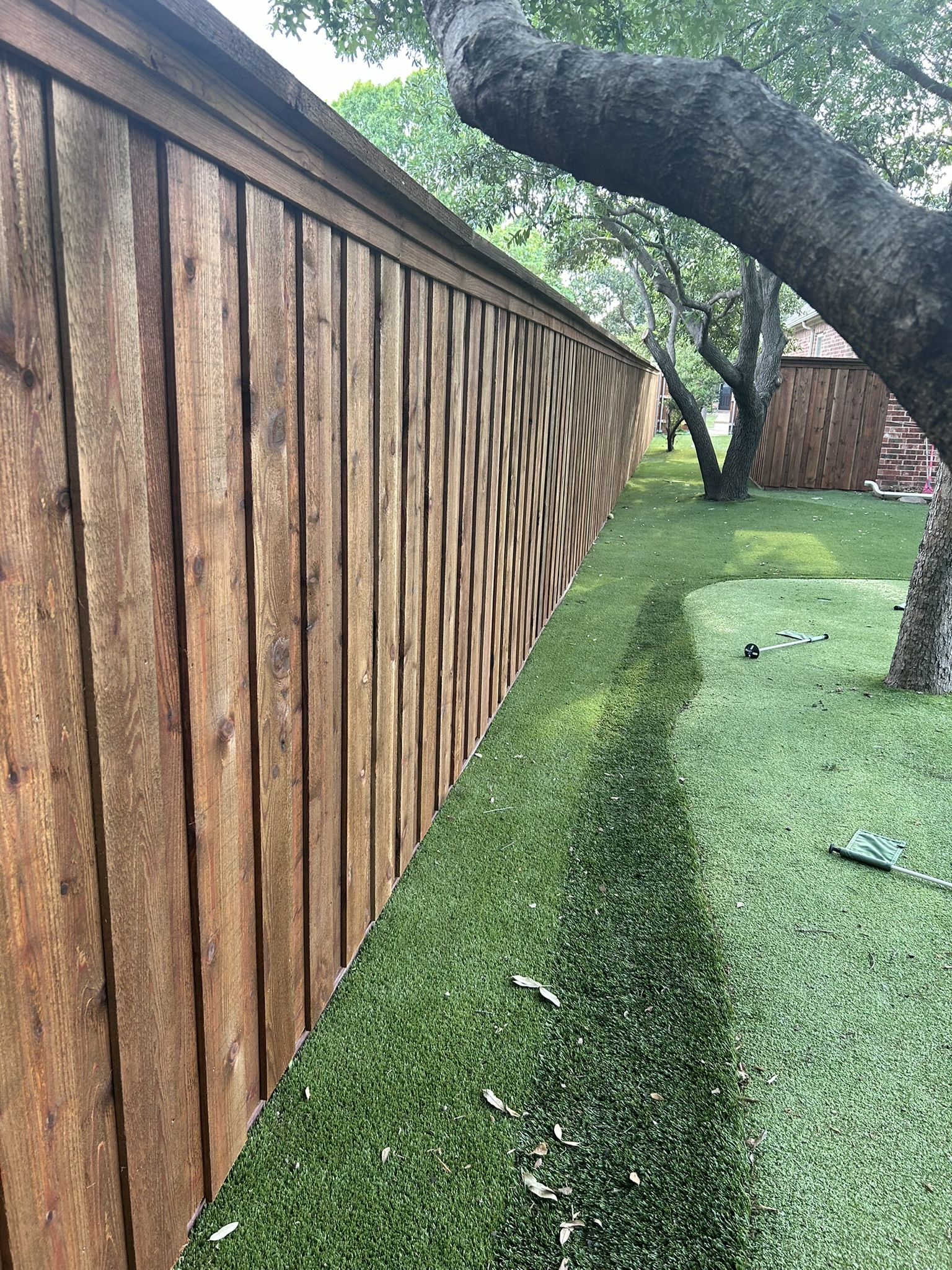 Stained cedar board-on-board privacy fence with cap rail along artificial turf and large tree