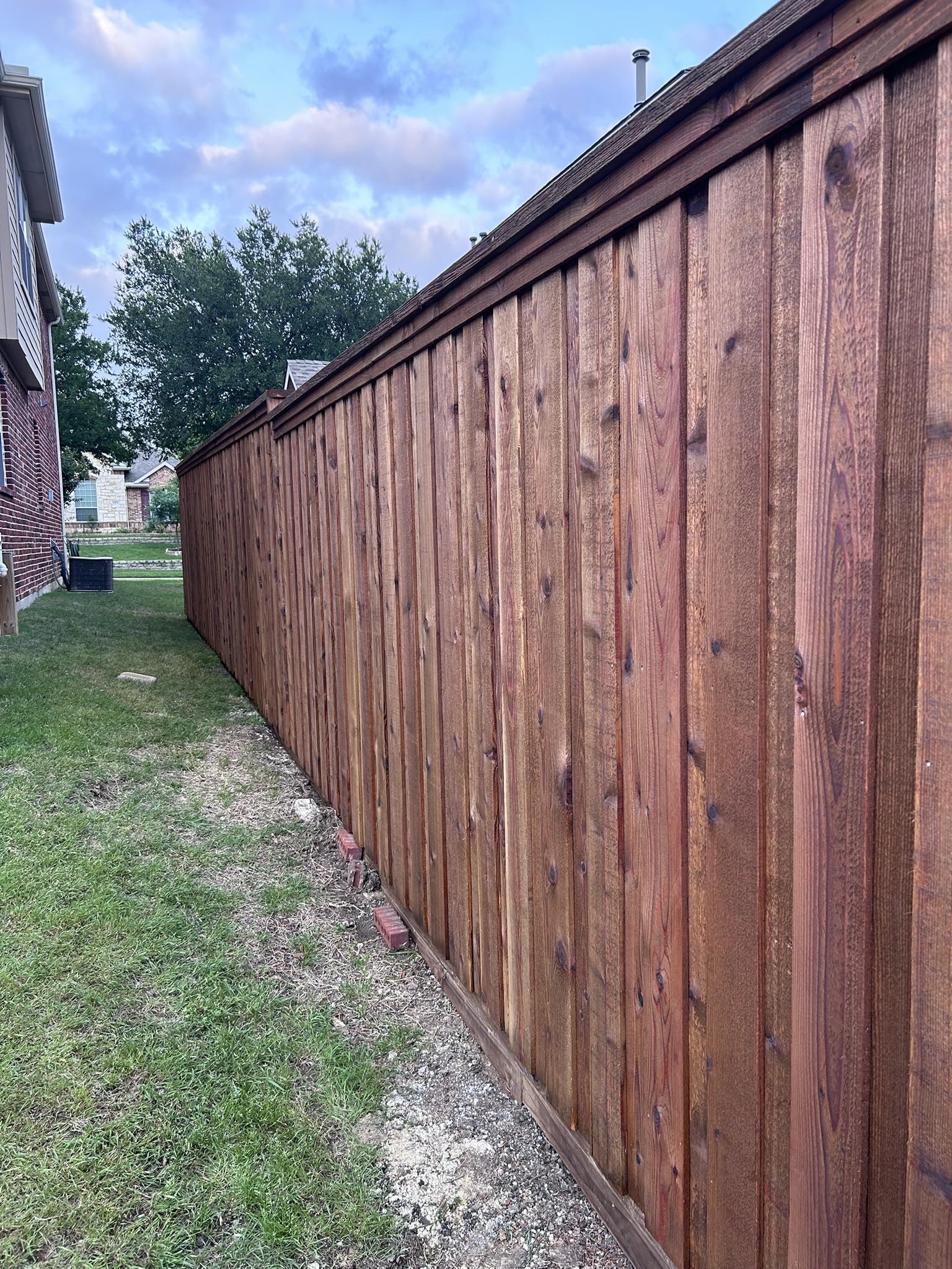 Stained cedar board-on-board privacy fence along a backyard with cap rail