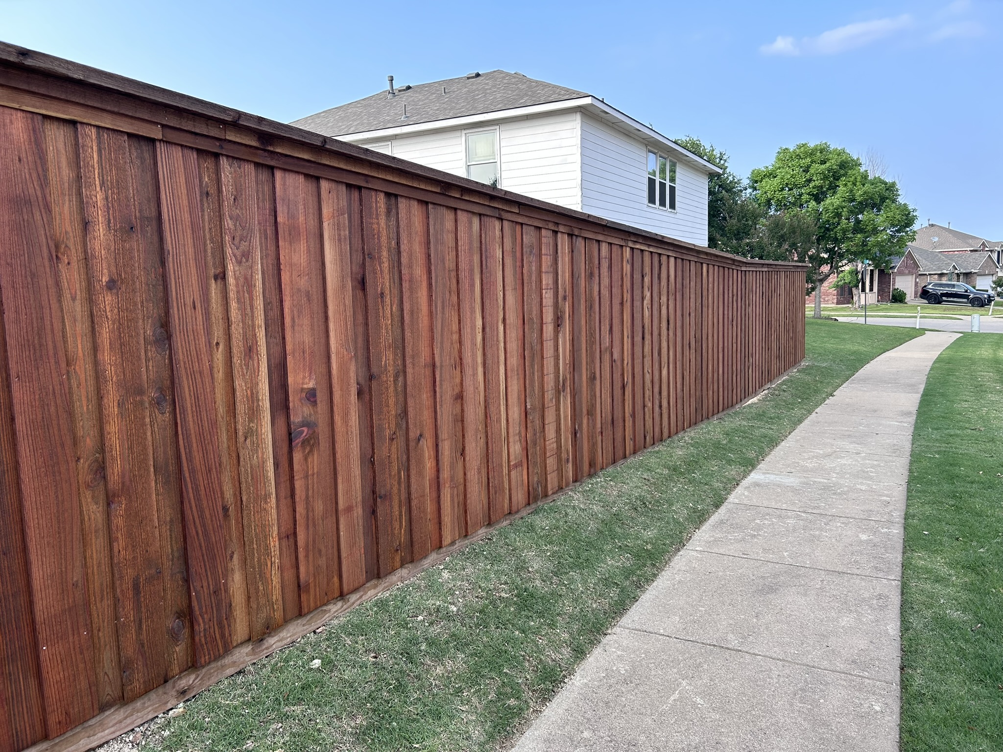 Stained cedar board-on-board privacy fence along a sidewalk in a residential neighborhood