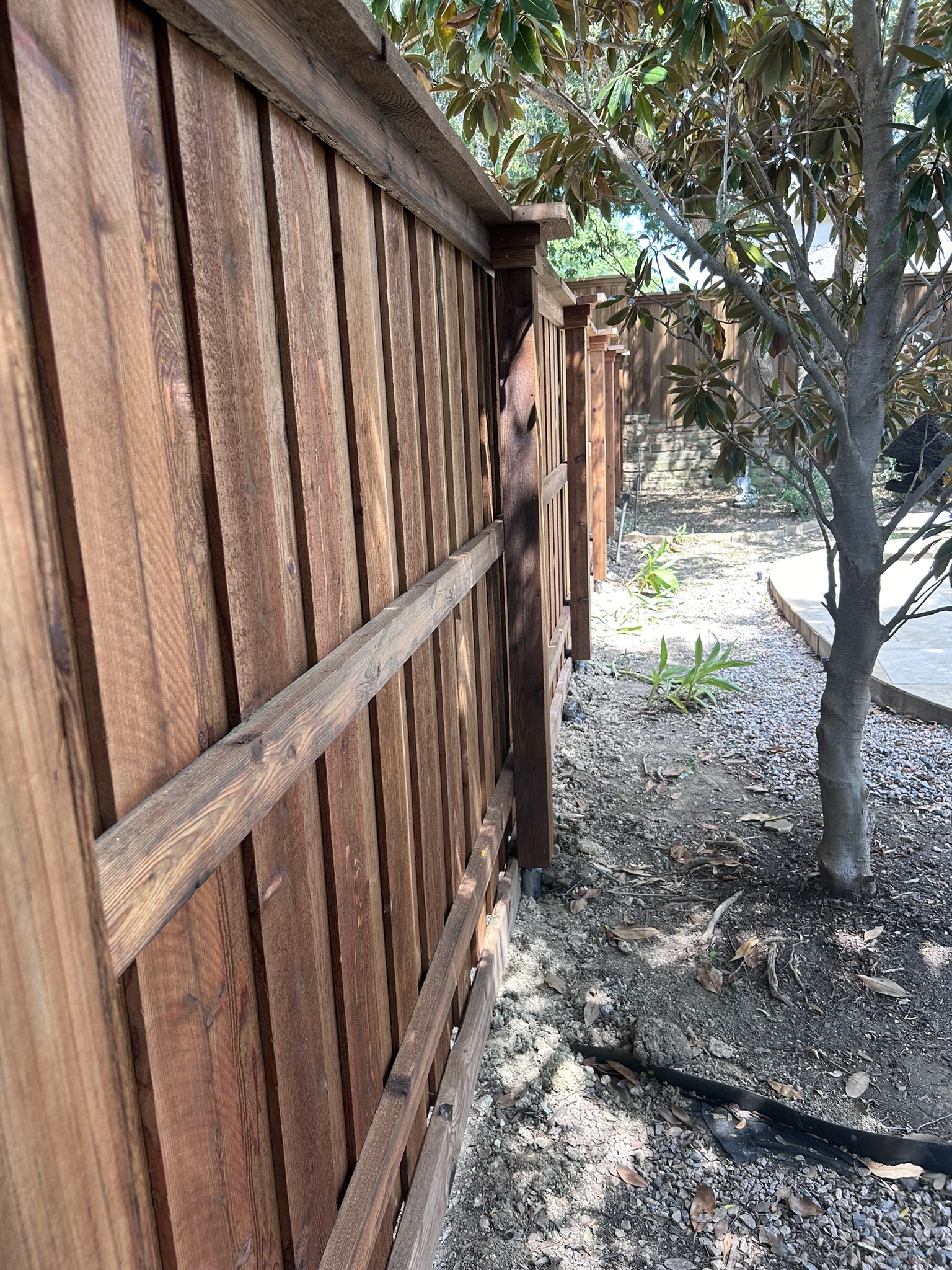 Back side of stained cedar privacy fence showing rails and posts along a gravel path