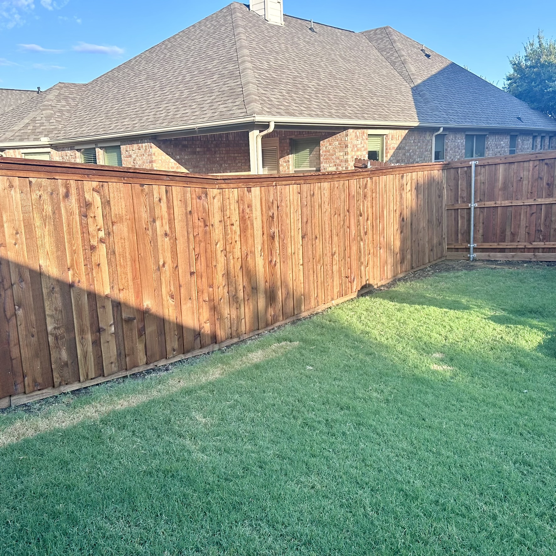 Cedar board-on-board privacy fence with cap rail along a backyard with green lawn