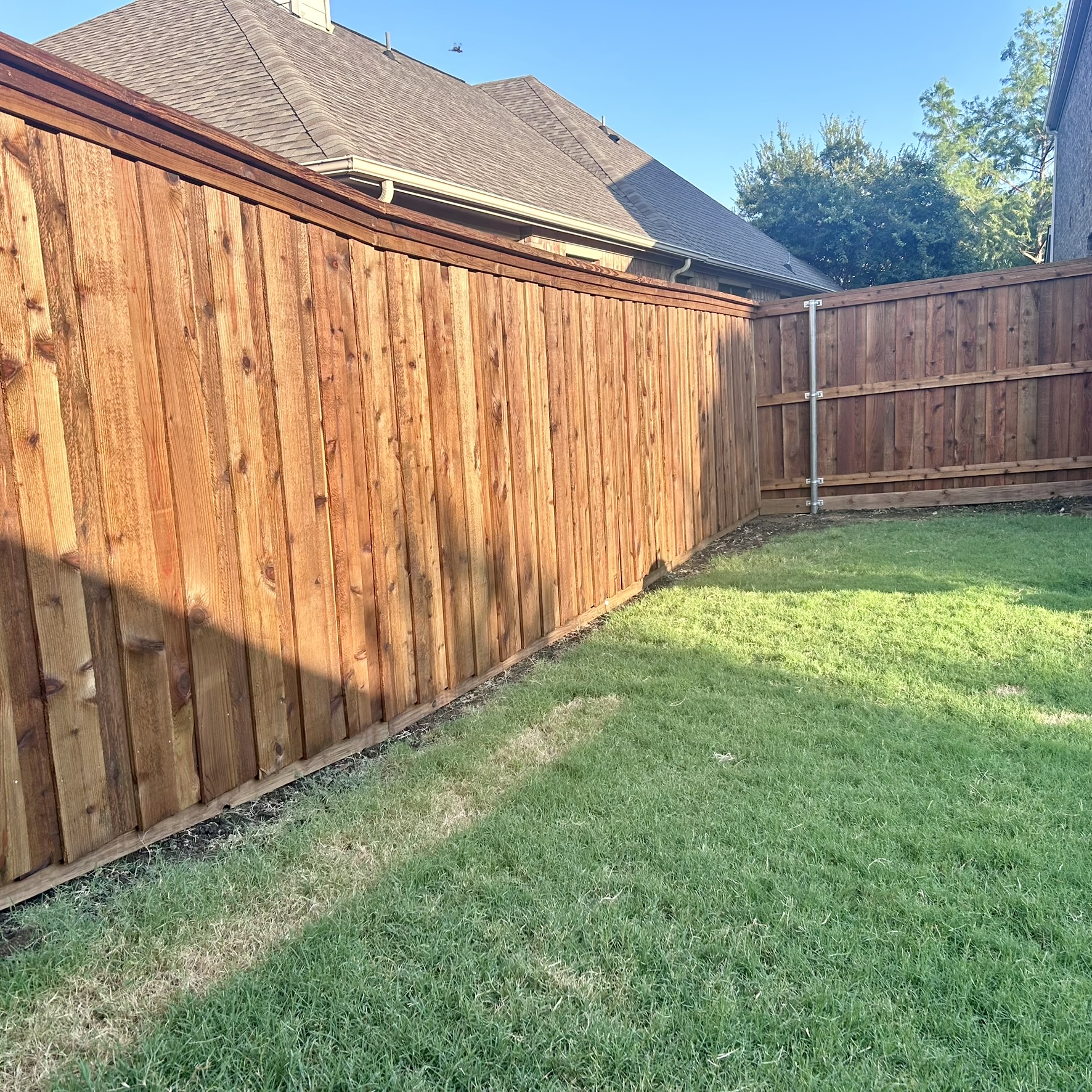 Cedar board-on-board privacy fence with cap rail in a sunny backyard