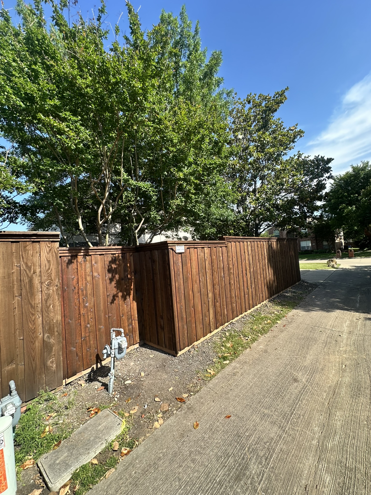 Stained cedar privacy fence from driveway angle with trees overhead