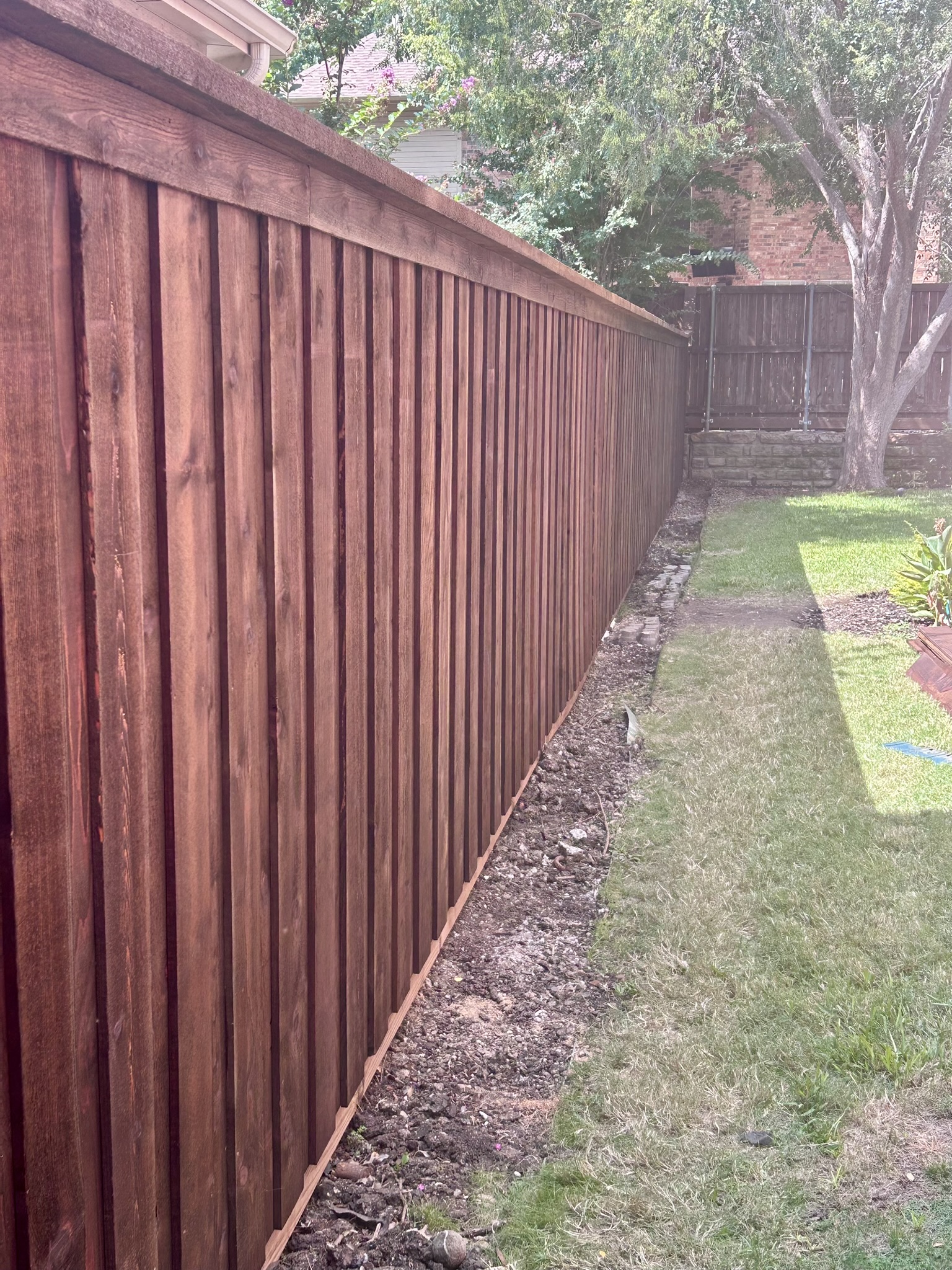 Stained cedar board-on-board fence perspective view along a residential backyard