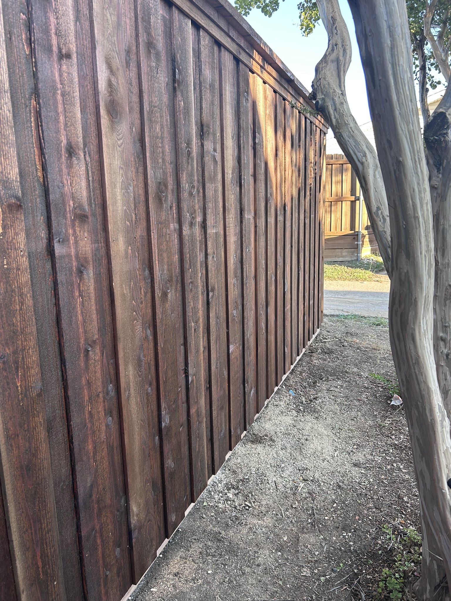 Dark-stained board-on-board cedar privacy fence along a side yard with trees
