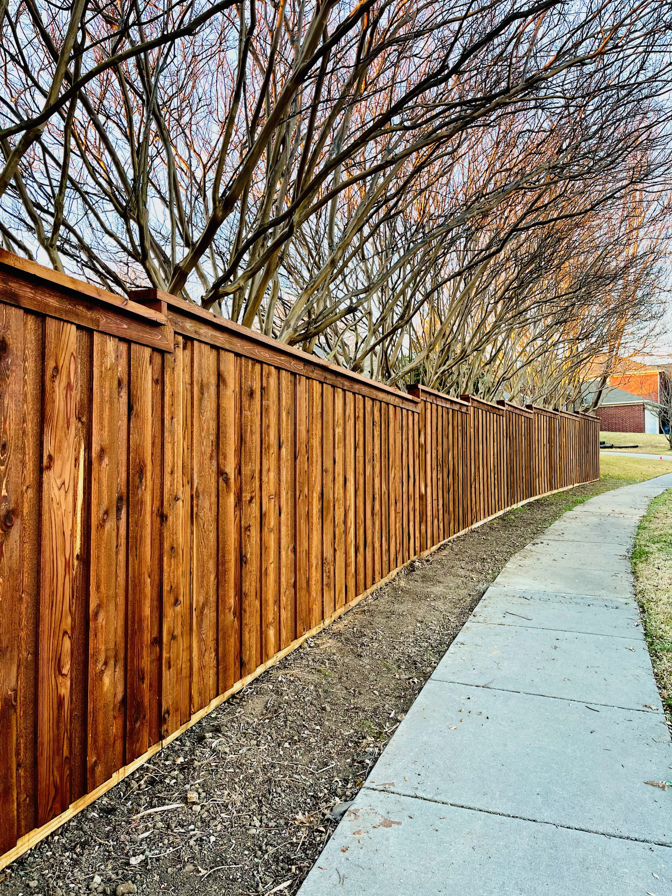 Long stained cedar board-on-board privacy fence along a sidewalk with bare winter trees