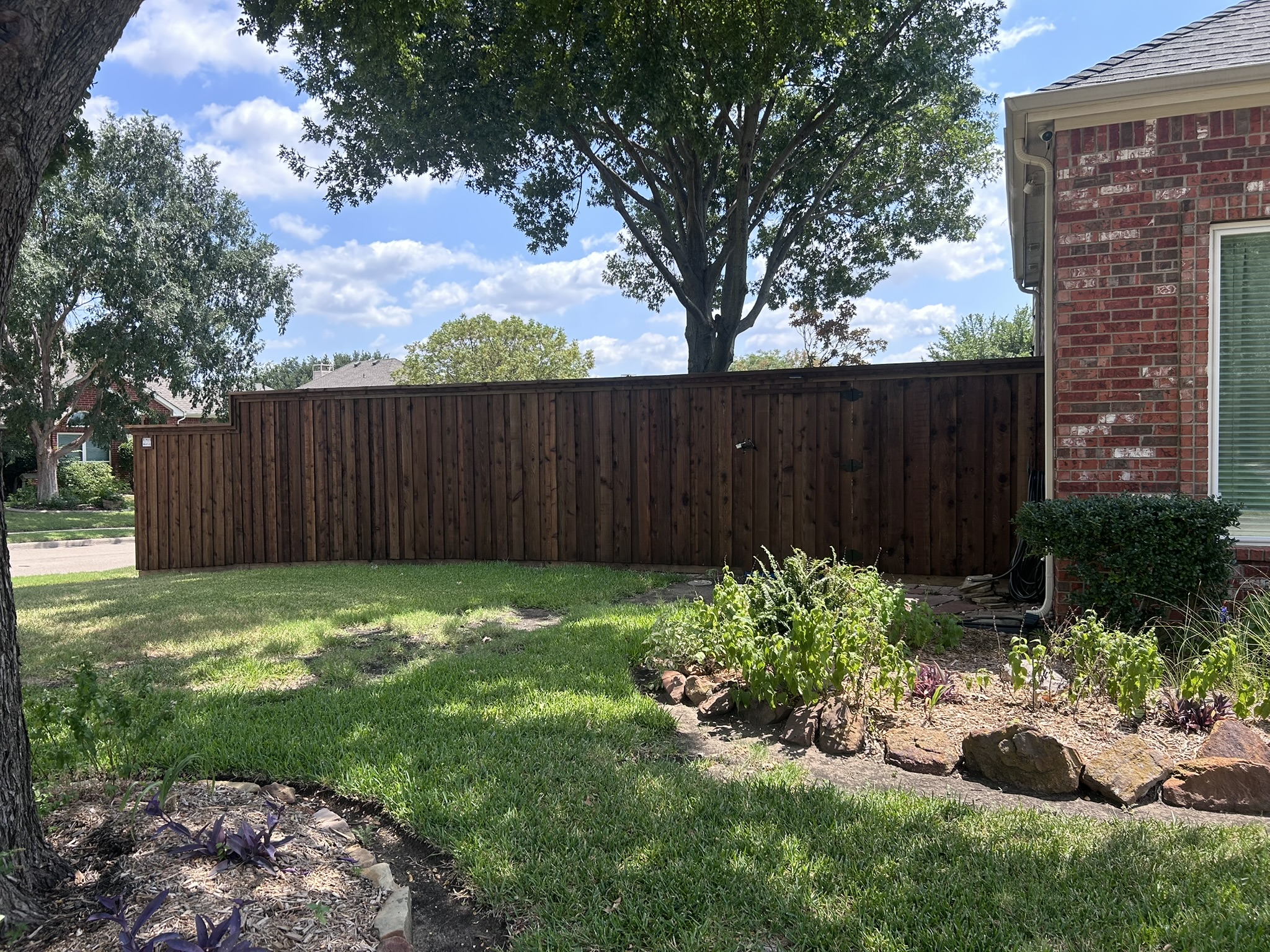 Dark-stained board-on-board cedar privacy fence across front yard of brick home