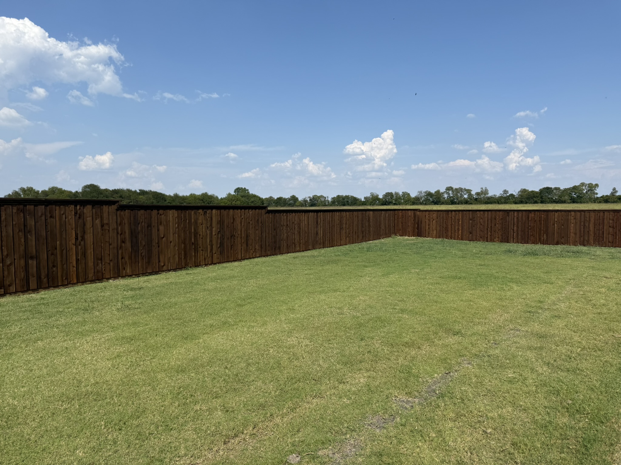 Stained cedar privacy fence along side of modern home with pool area