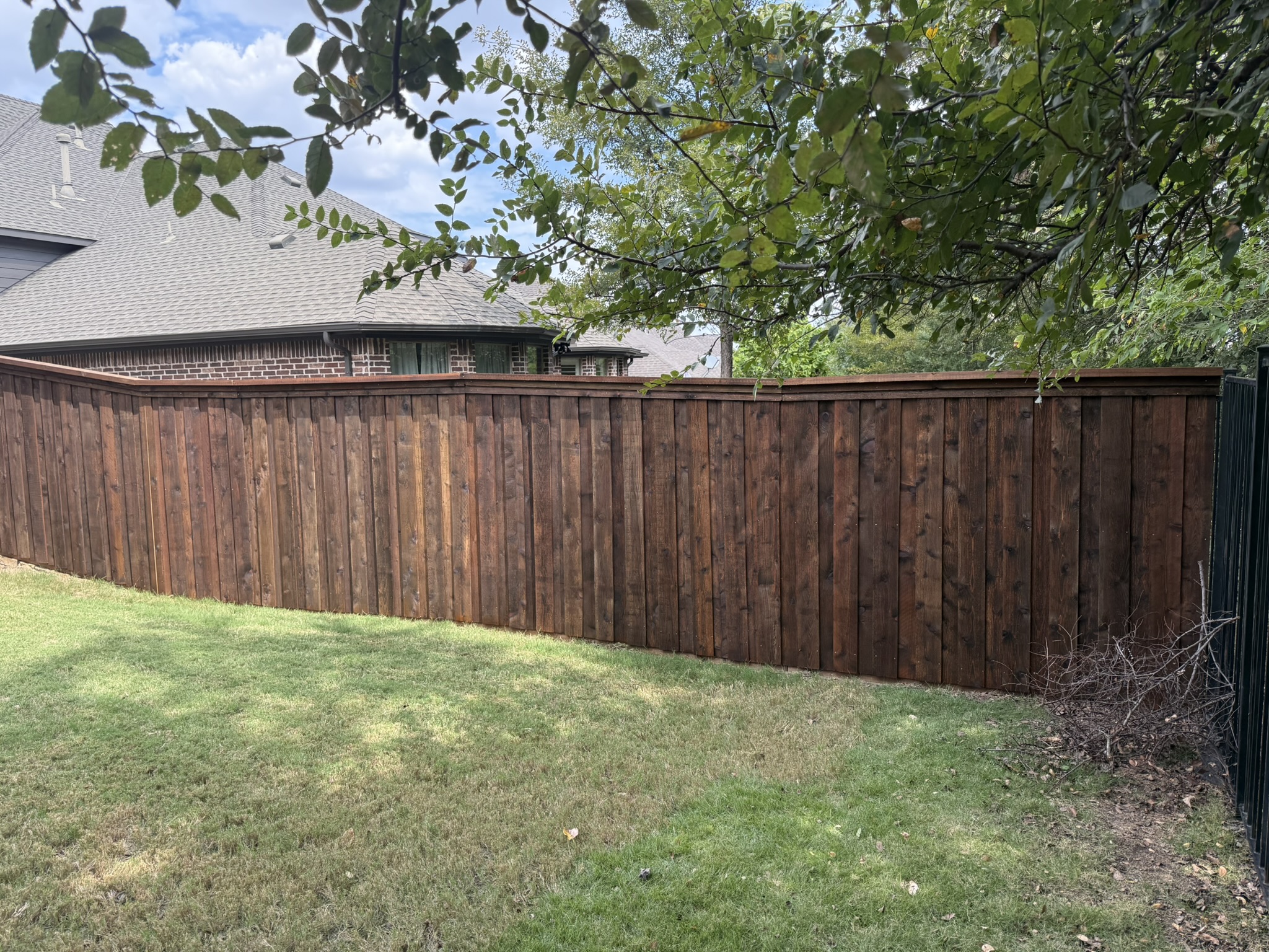 Stained cedar board-on-board privacy fence curving along backyard